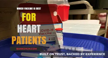 Heart Health and Vaccines: A Guide for Patients