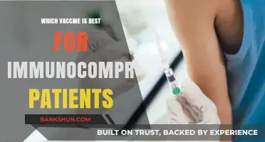 Best Vaccine Options for Immunocompromised Patients: A Comprehensive Guide