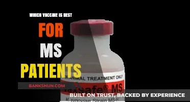 Navigating Vaccine Choices: What's Best for MS Patients?