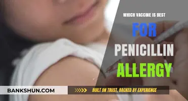 Navigating Vaccine Options for Those with Penicillin Allergies