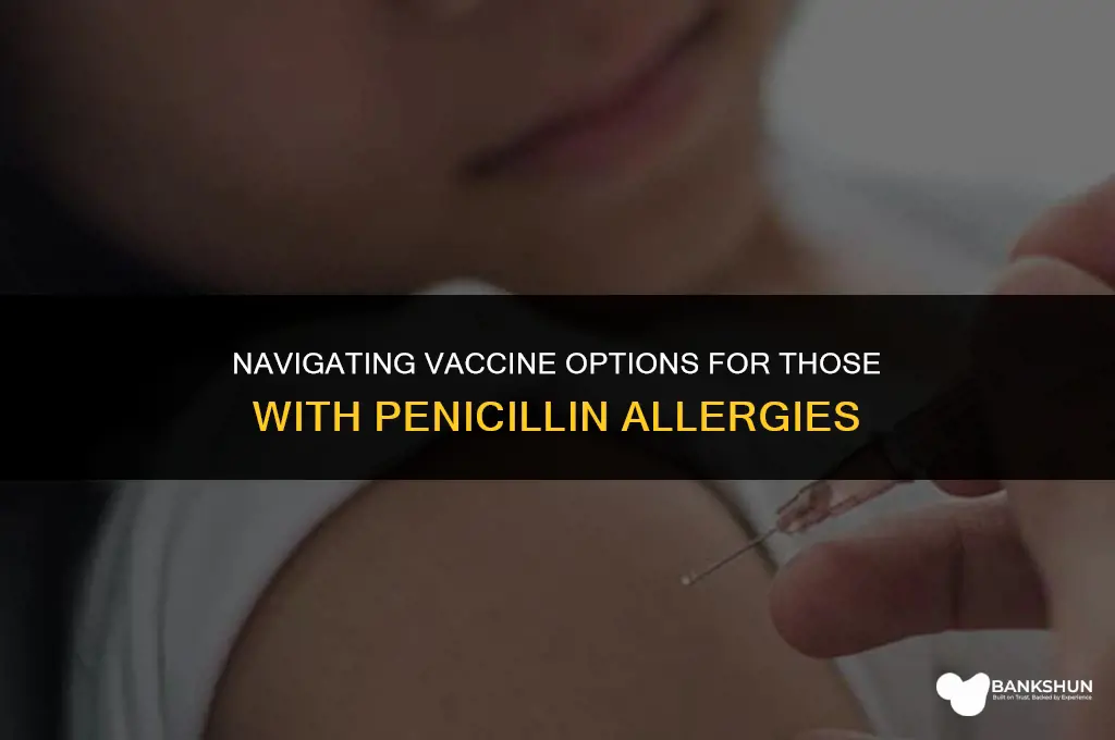 which vaccine is best for penicillin allergy