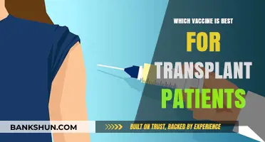 Navigating Vaccine Options for Transplant Patients: A Comprehensive Guide