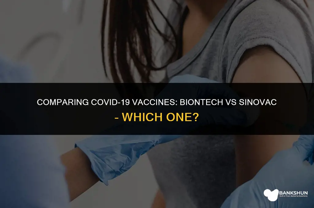 which vaccine is better biontech or sinovac