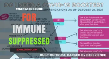 Boosting Immunity: A Guide to Vaccines for the Immunocompromised