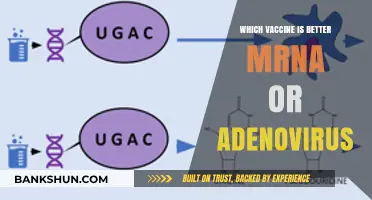 Decoding the Vaccine Debate: mRNA vs Adenovirus - Which Reigns Supreme?