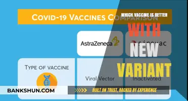 Decoding the Best Vaccine Choice Amid New Variants