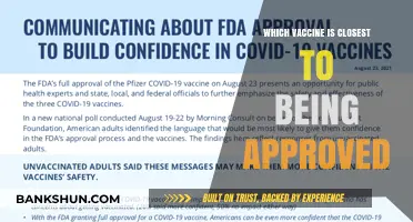 Breakthrough on the Horizon: Vaccine Approval Race Heats Up