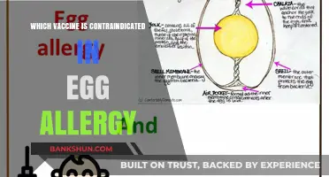 Egg Allergy and Vaccines: Which Shots to Avoid