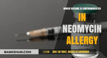 Navigating Vaccine Options: A Guide for Those with Neomycin Allergies