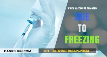 The Impact of Freezing on Vaccine Efficacy: A Comprehensive Guide