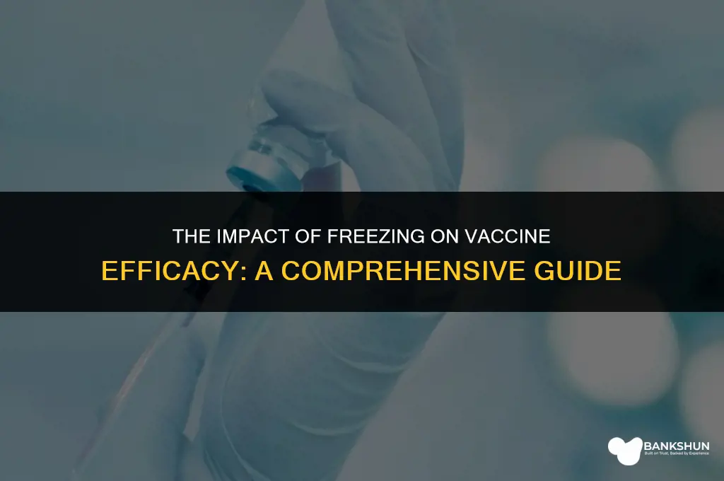 which vaccine is damaged due to freezing