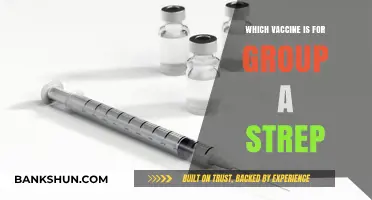 Combatting Group A Strep: Your Guide to Effective Vaccines