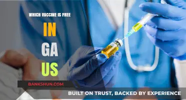 Free Vaccines in Georgia: Your Guide to Accessible Immunization