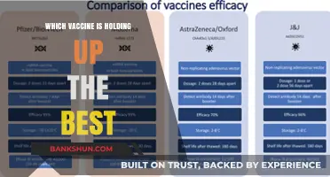 Comparing Vaccine Efficacy: Which One Stands Out?