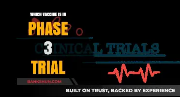 Advancements in Vaccine Development: Phase 3 Trials Overview