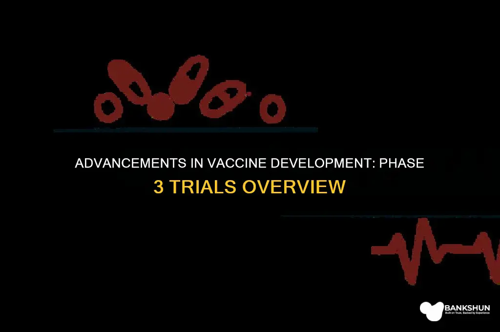 which vaccine is in phase 3 trial