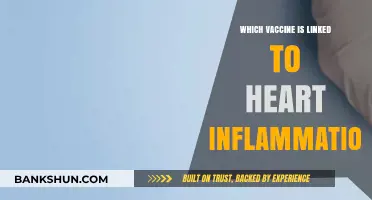 Exploring the Link: Which Vaccine is Associated with Heart Inflammation?