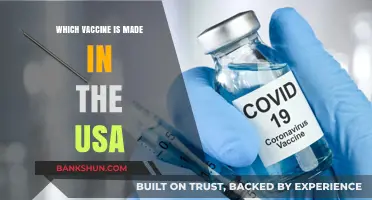 Exploring COVID-19 Vaccines: A Spotlight on US-Made Options