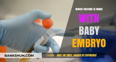 Exploring the Ethics: Vaccines and the Use of Embryonic Cells