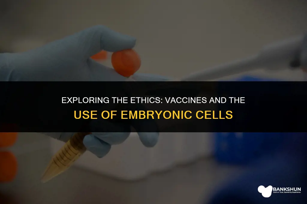 which vaccine is made with baby embryo