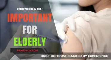 Prioritizing Health: The Crucial Vaccine for Seniors