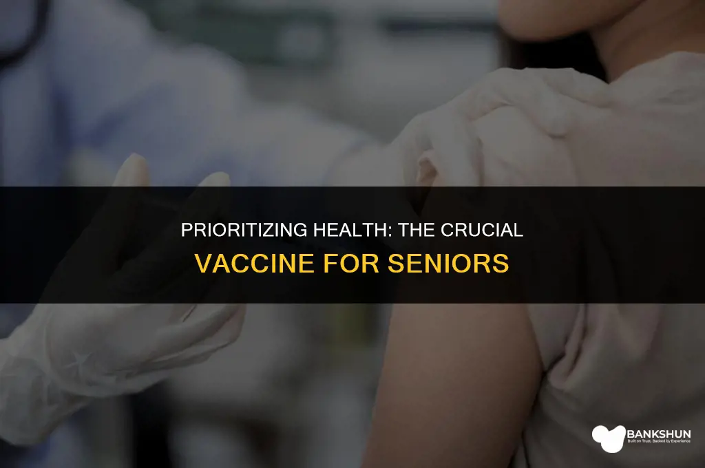 which vaccine is most important for elderly