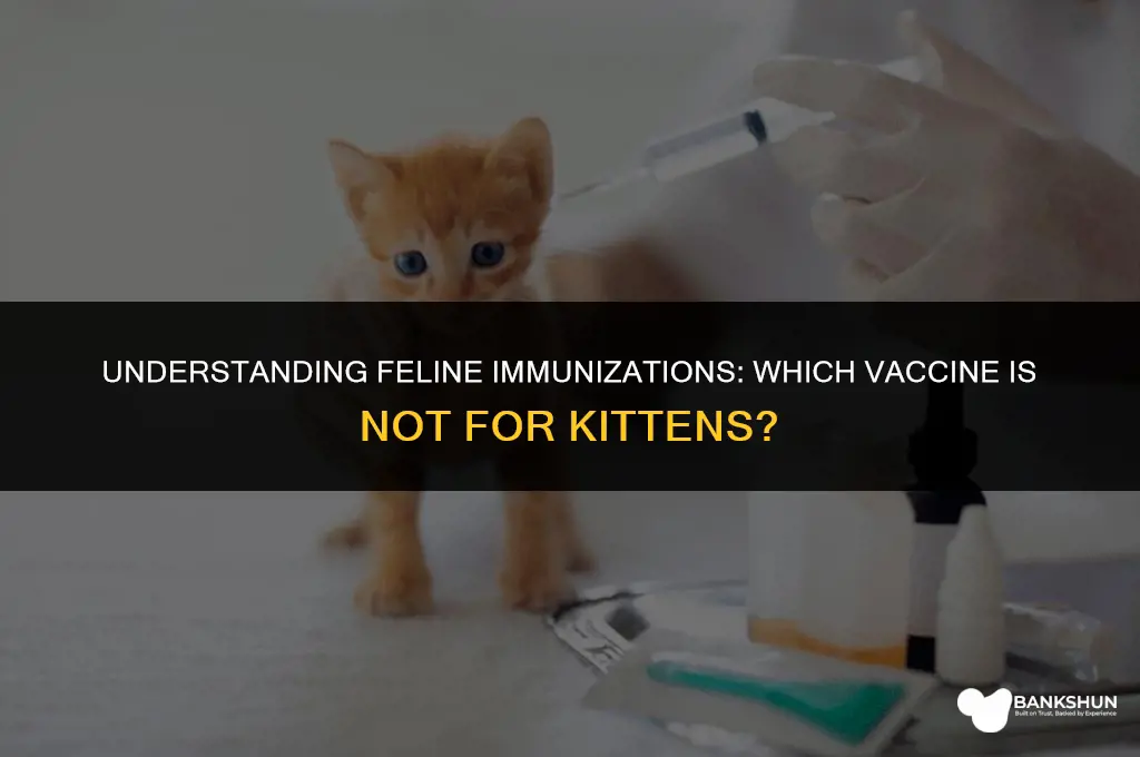 which vaccine is not administered to kittens