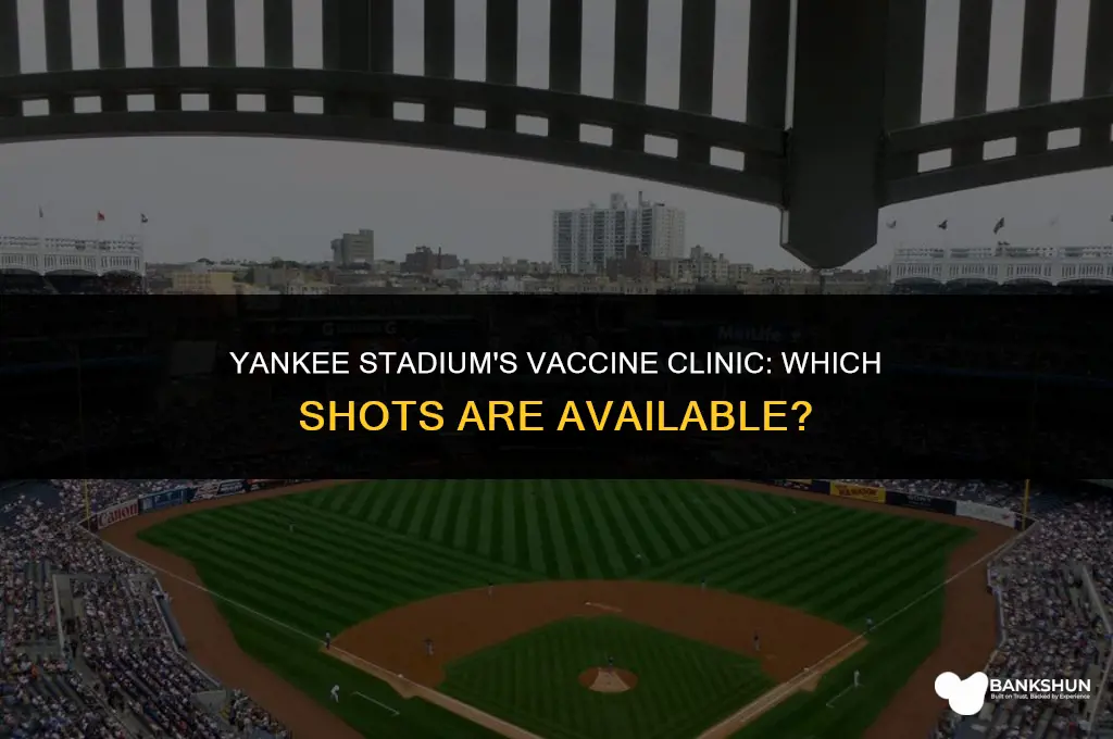 which vaccine is offered at yankee stadium