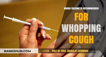 Protecting Against Whooping Cough: The Recommended Vaccine Guide