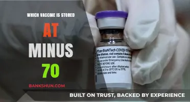 Ultra-Cold Storage: The Vaccine Kept at Minus 70 Degrees