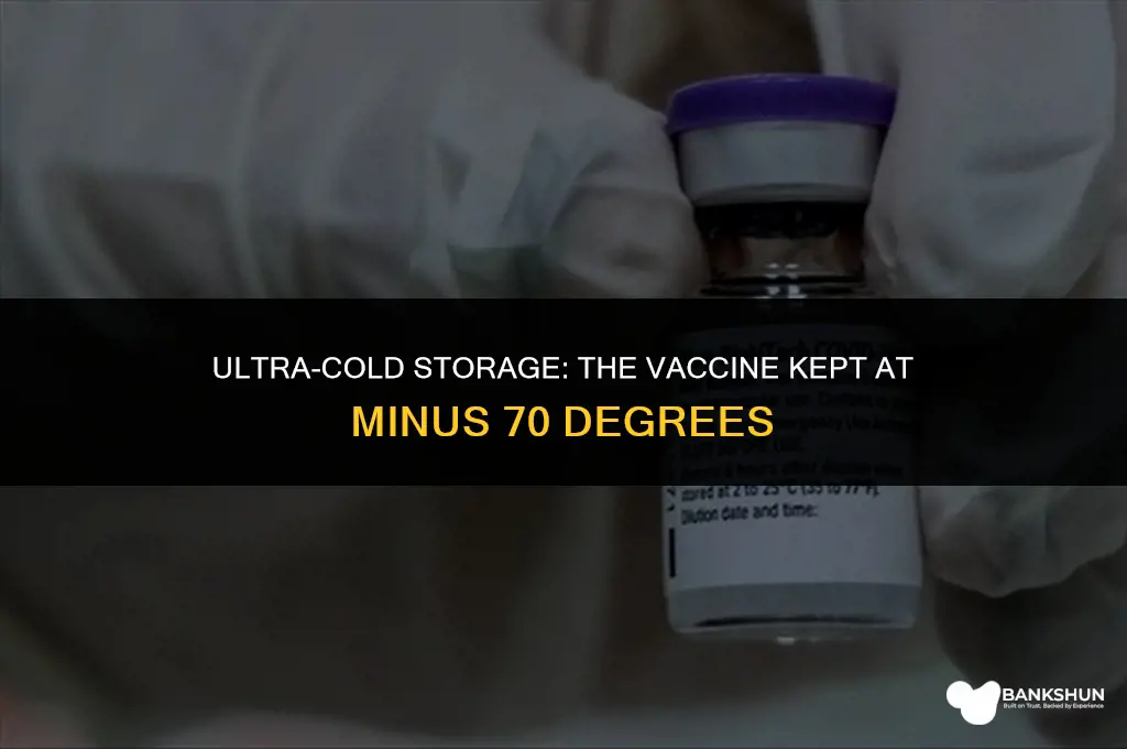 which vaccine is stored at minus 70