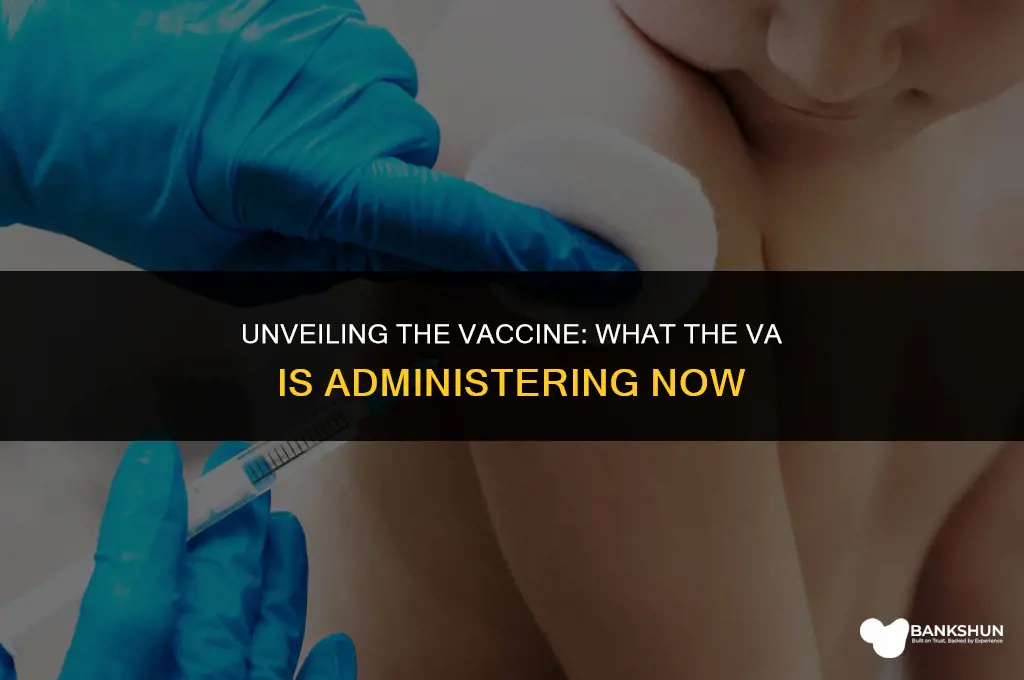 which vaccine is the va giving out