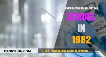 Vaccine Mandates in Schools: A Historical Look at 1982 Requirements