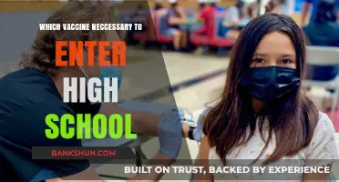 Essential Vaccines for High School Entry: A Comprehensive Guide