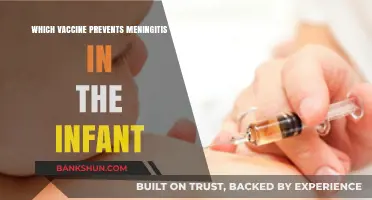 Protecting Infants: The Essential Vaccine Against Meningitis