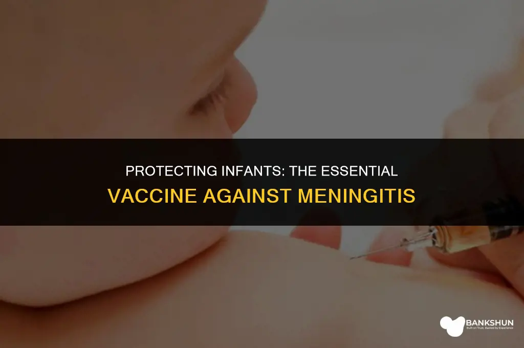 which vaccine prevents meningitis in the infant