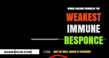 Exploring Vaccine Efficacy: Which One Offers the Least Immune Response?