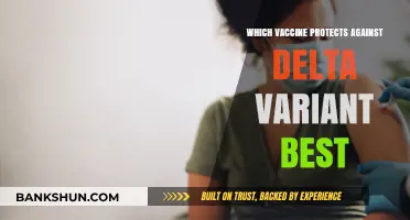 Best Vaccine Defense Against Delta Variant: Expert Insights
