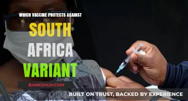 Combatting the South African Variant: Your Guide to Effective Vaccines