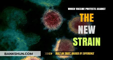 Combatting the New Strain: Your Guide to Effective Vaccines