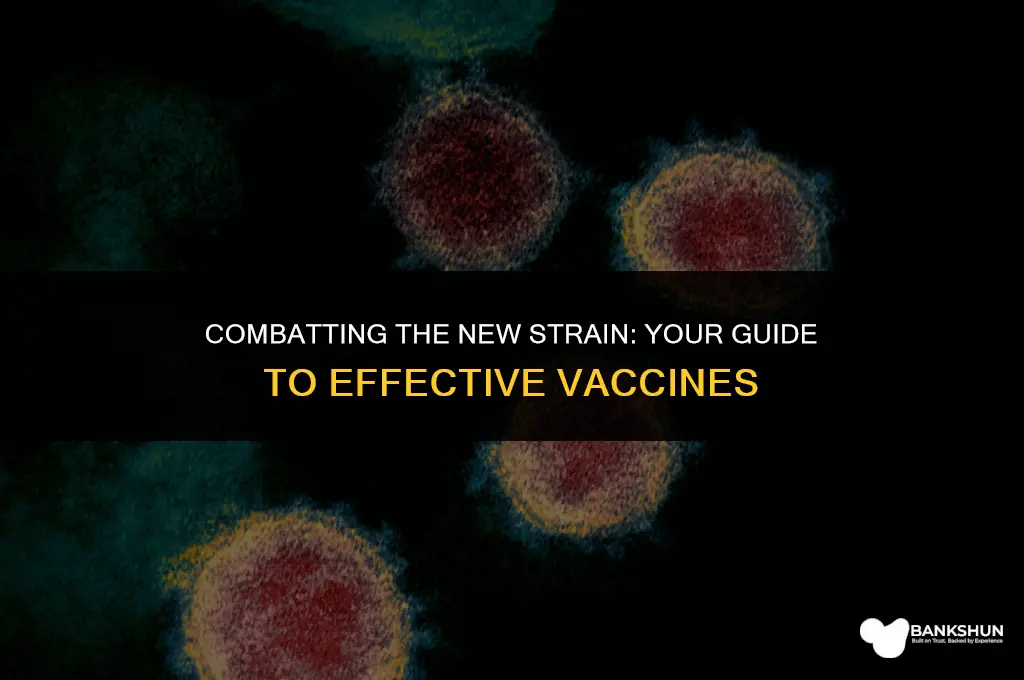 which vaccine protects against the new strain