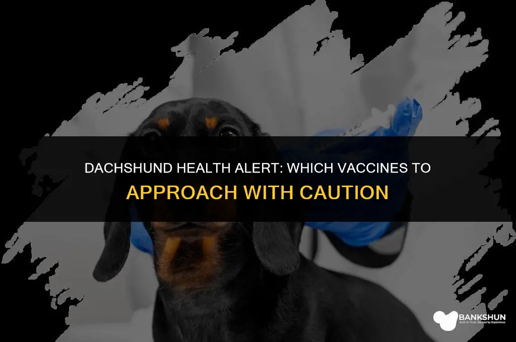 which vaccine should i avoid with dachshunds