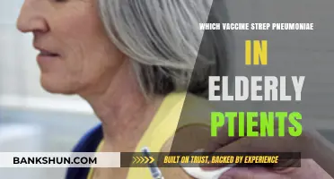 Protecting the Elderly: The Essential Guide to Pneumococcal Vaccines