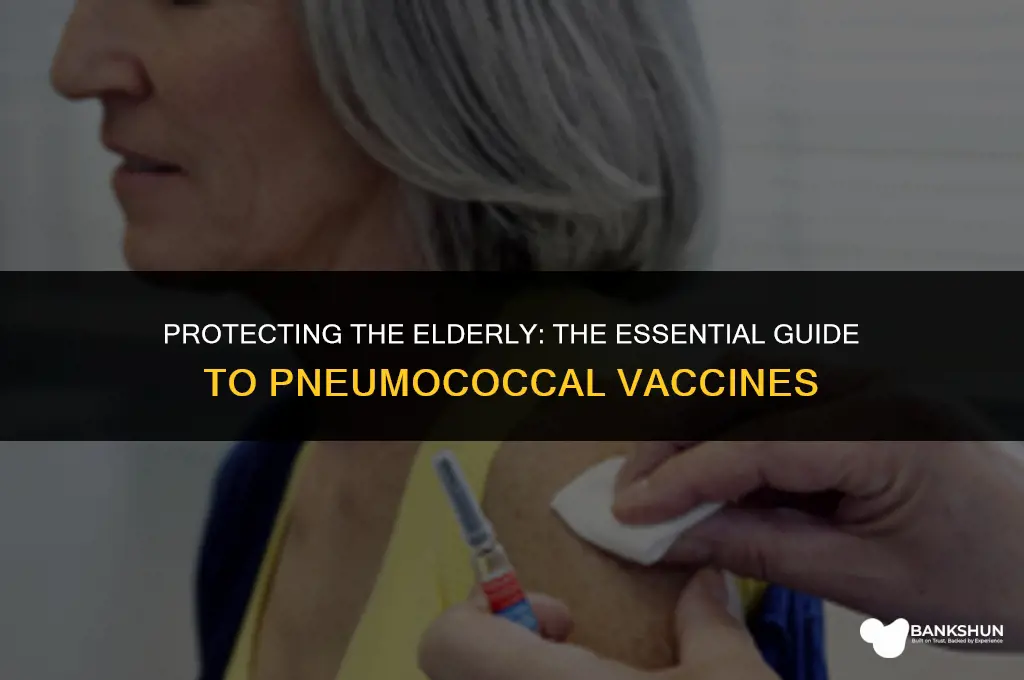 which vaccine strep pneumoniae in elderly ptients