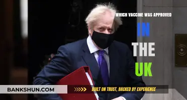UK Approves Groundbreaking Vaccine: A Comprehensive Overview