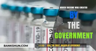 Government-Backed Breakthroughs: Exploring State-Developed Vaccines