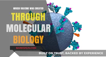 Revolutionizing Immunization: The Molecular Biology Behind Modern Vaccines