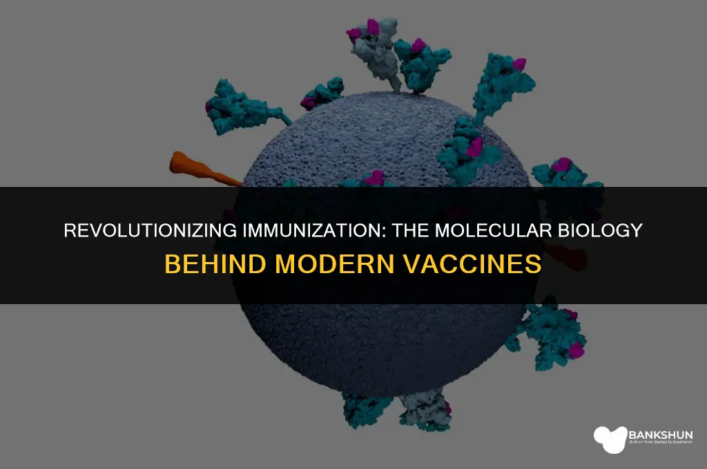 which vaccine was created through molecular biology