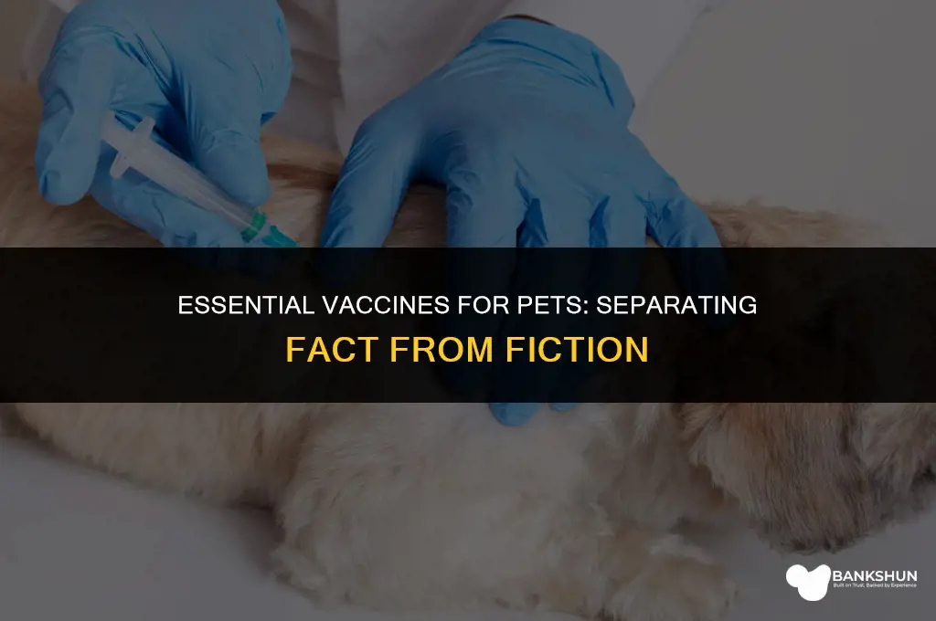 which vaccines are actually necessary for pets