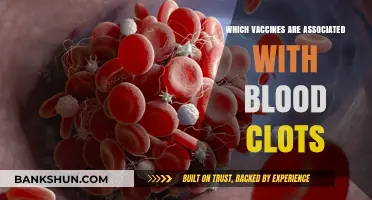 Unraveling the Link: Vaccines and Blood Clot Concerns